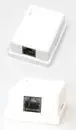 Prizë NetRack 2xRJ45 FTP Cat5e, e bardhë