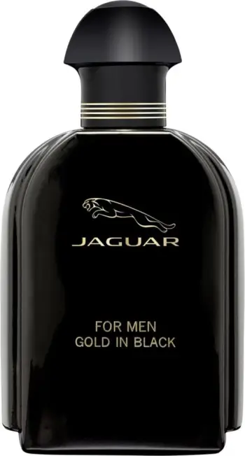 Eau de Toilette Jaguar For Men Gold In Black, 100 ml