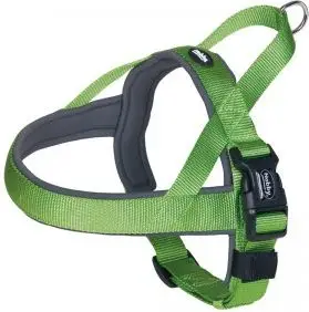 Qafore norvegjeze për qen Nobby Classic Preno L, 60-76 cm, nylon / neopren, e gjelbër / hirtë