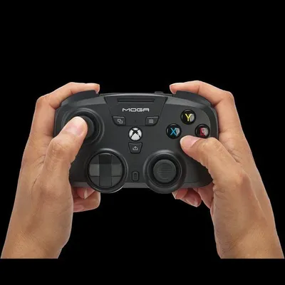 Pamja 7