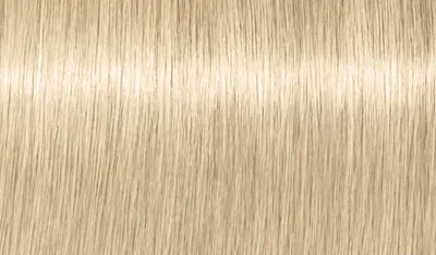 Pamja 2