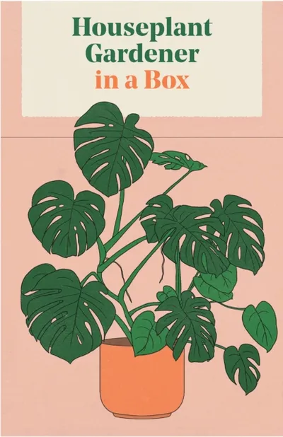Houseplant Gardener In A Box - Jane Perrone - 1