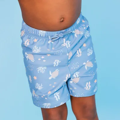 Pamja 2