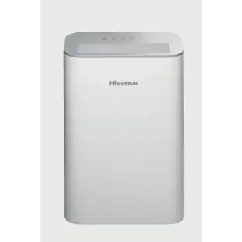 Pastrues ajri Hisense AP220H