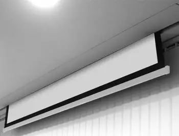 Ekran i projektorit Avtek Business Electric 300P, 290 x 181.2 cm, i bardhë mat