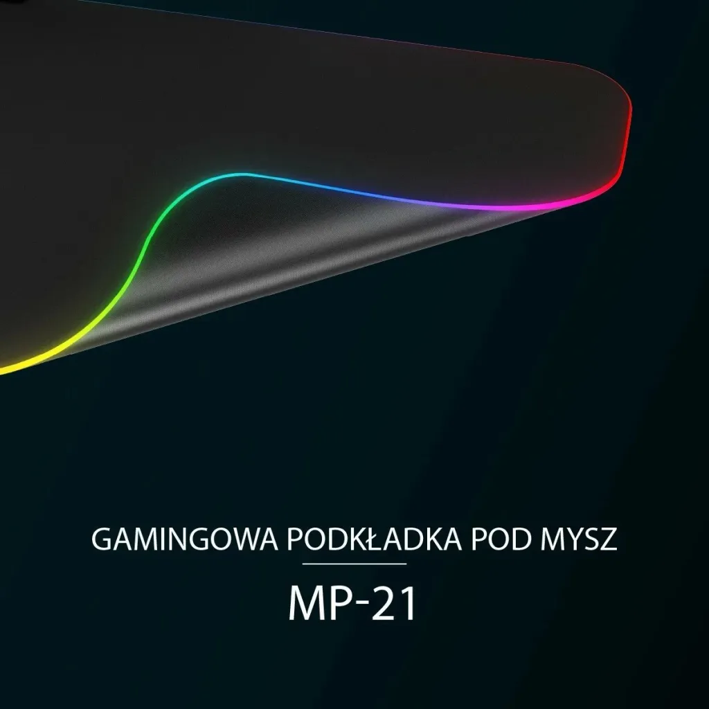 Pamja 8