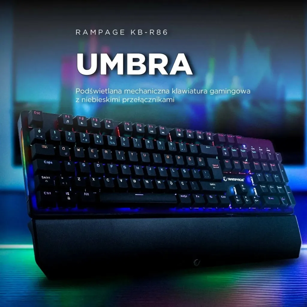 Pamja 6