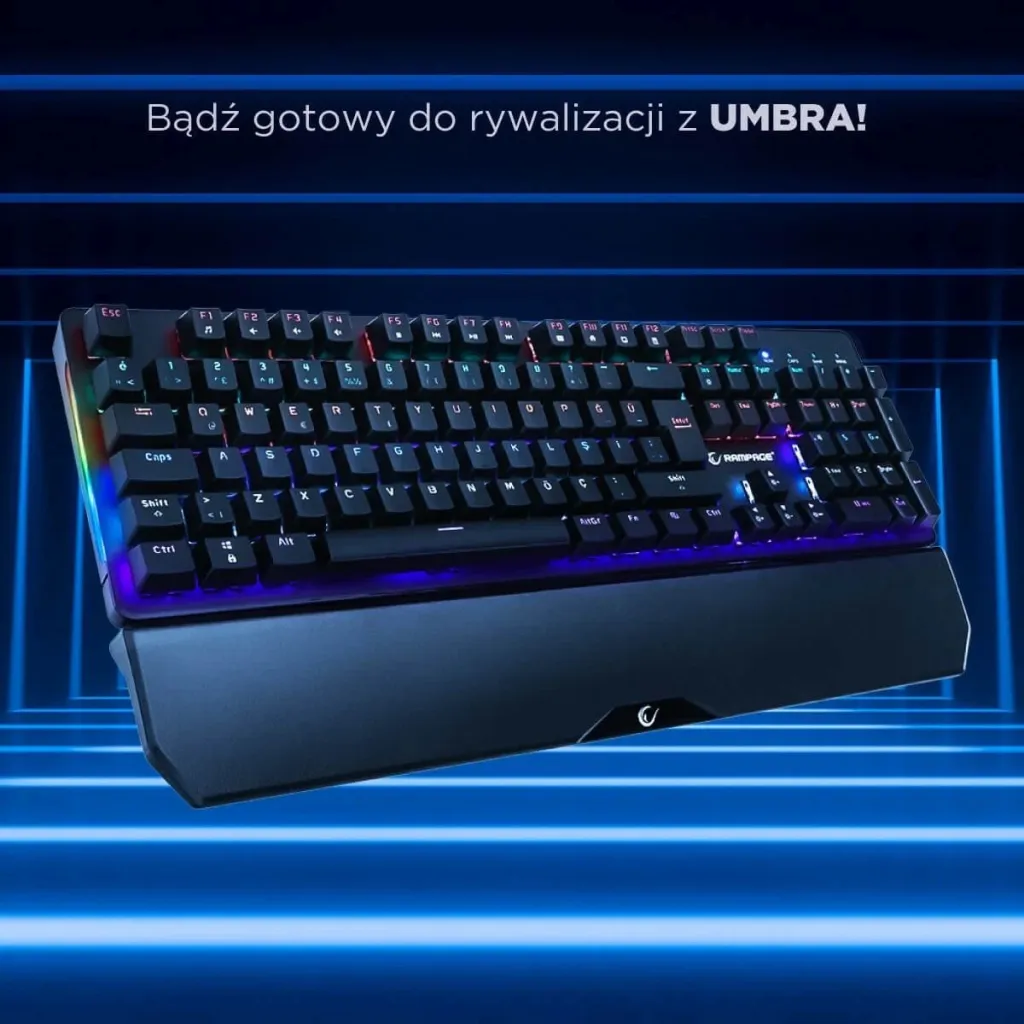 Pamja 8