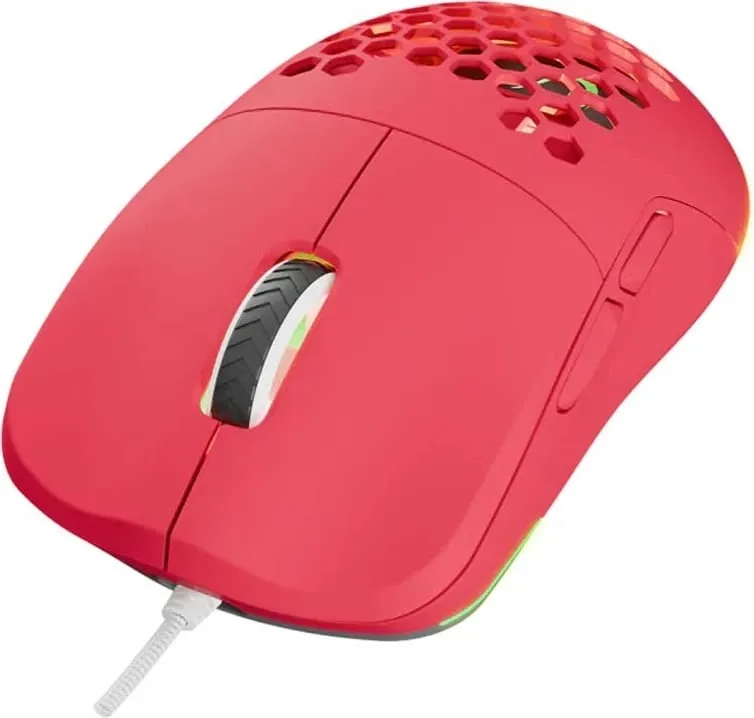 Pamja 6