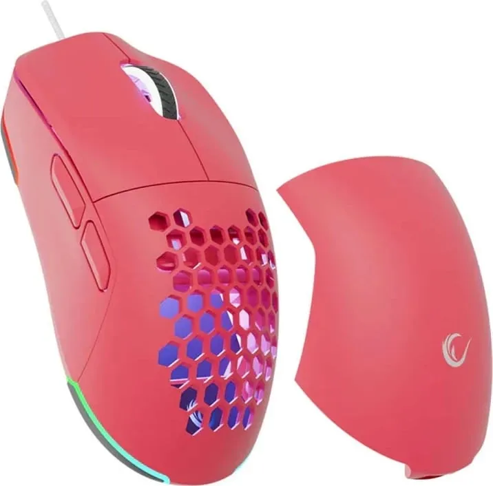 Pamja 8