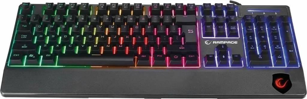 Pamja 6