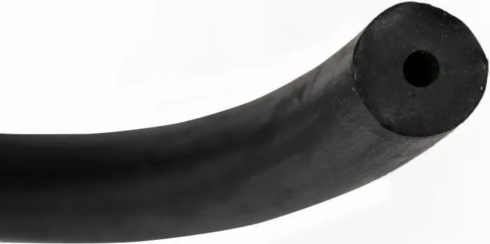 Pamja 2