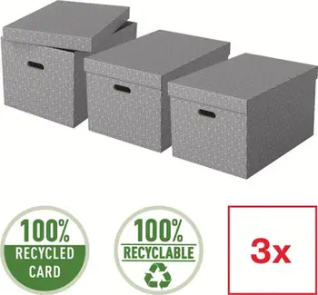 Set kuti ruajtjeje Esselte Home 628287, madhësia L, 3 copë, gri