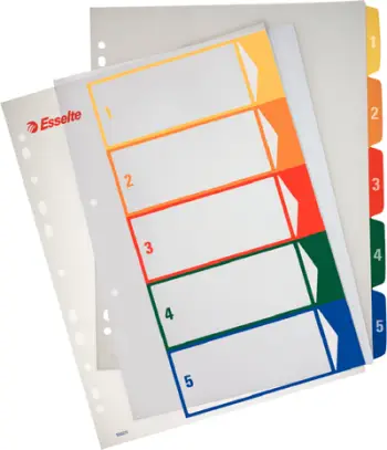 Ndarës kartoni Esselte Maxi, për printim, A4