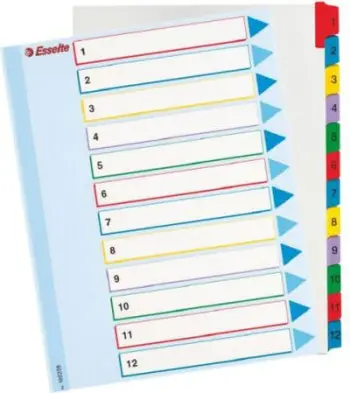 Ndarëse për dokumente Esselte Mylar A4 Maxi 1–12, shumëngjyrëshe