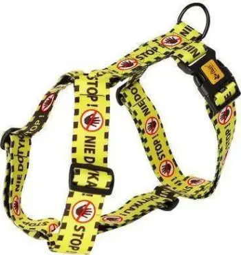 Parzmore për qen Dingo Guard City - Don't Touch!, 38 - 70 cm, M, e verdhë
