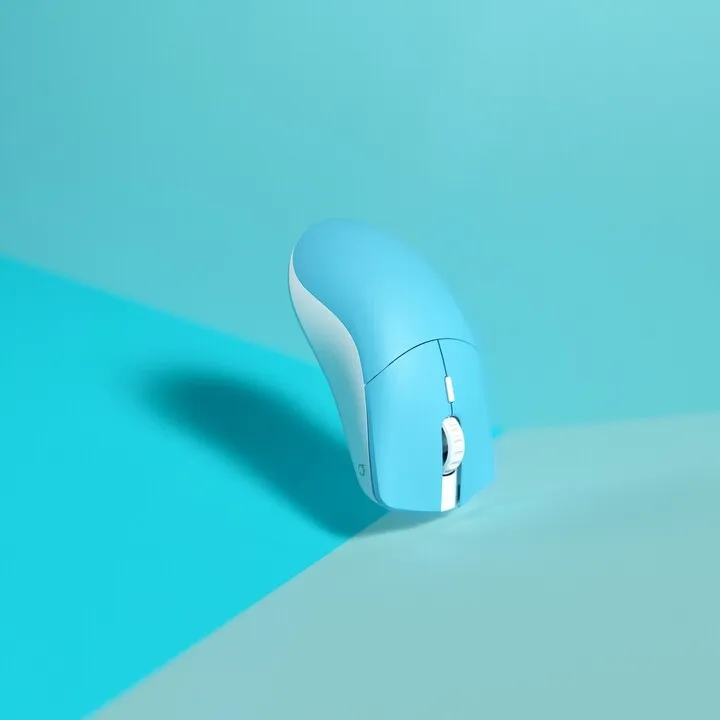 Pamja 5