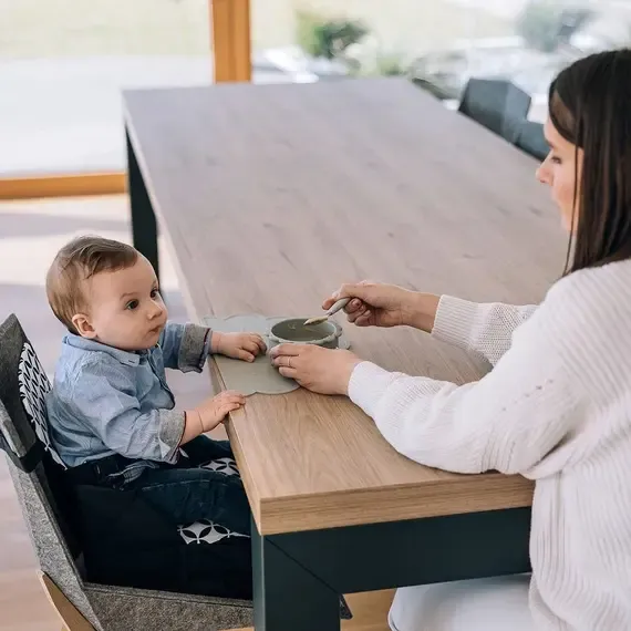 Karrigë paluese për bebe Fold & Go - 6