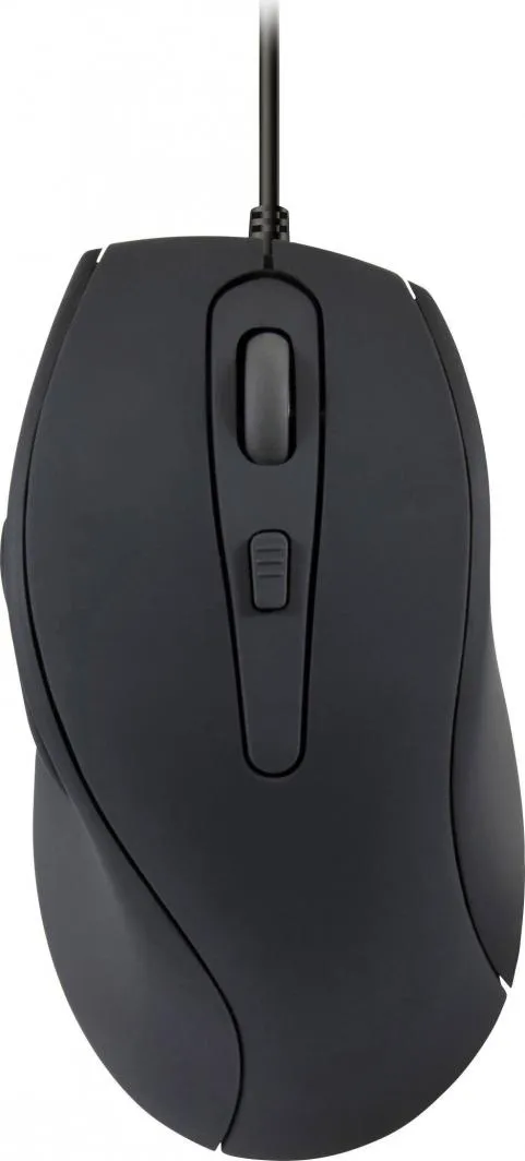 Pamja 1