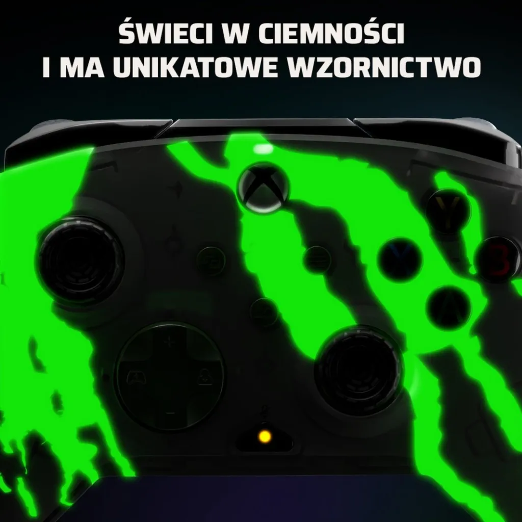 Pamja 46