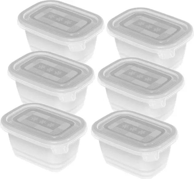 Enë për ngrirje Rotho Freeze, 6x250ml, Transparent - 1