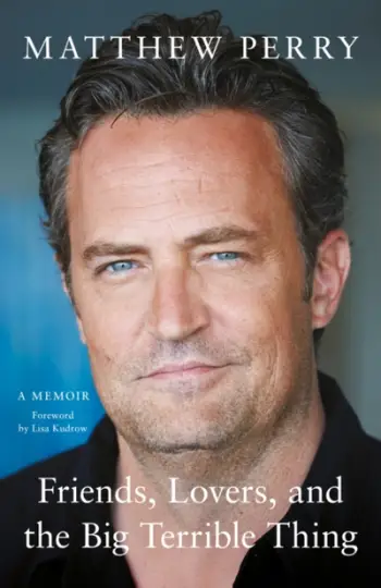 Friends Lovers And Big Terrible Thing - Matthew Perry
