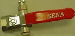 Pamja 1