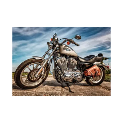 Puzzle Dino Harley Davidson, 500 pjesë, 10+ vjeç - 4