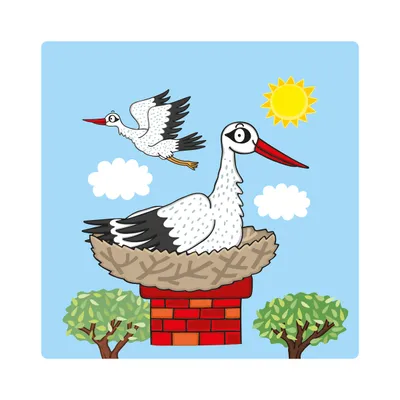 Pamja 5