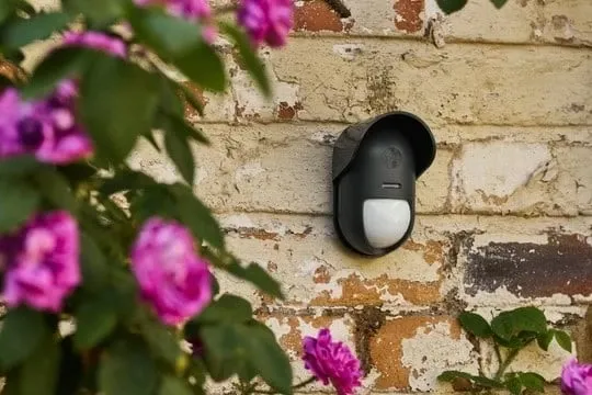 Sensor lëvizjeje Yale për jashtë, Infrared, Wireless, i zi - 2