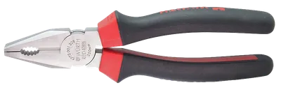 Pamja 1