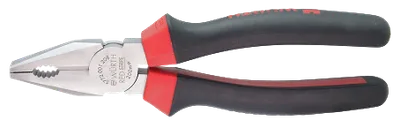 Pamja 1
