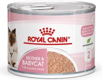 Ushqim i lëngshëm për mace Royal Canin Mother & Baby Cat, 195g