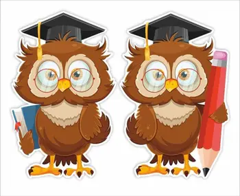 Zbukurim dritareje LearnHow Owls in Mortarboards, set 2 copë, motiv shkollor, shumëngjyrësh