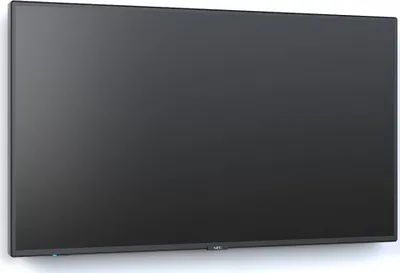 Pamja 6