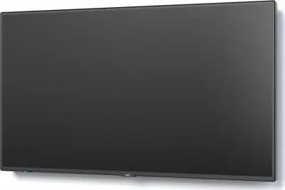 Pamja 8