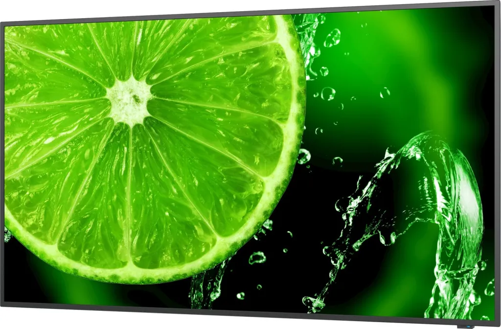 Ekran i madh NEC MultiSync E658, 65 inch, IPS, 4K UHD, HDR, me MediaPlayer, i zi - 5