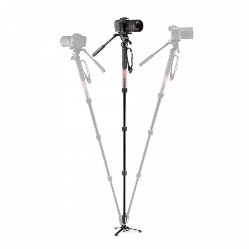 Pamja 3