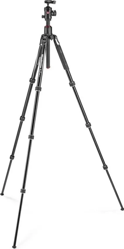 Pamja 7