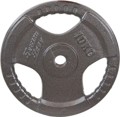 Disk peshe Eb Fit Hammertone, 10kg, fi28, gri - 1