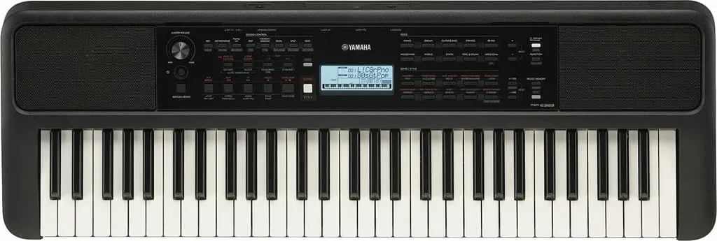 Pamja 1