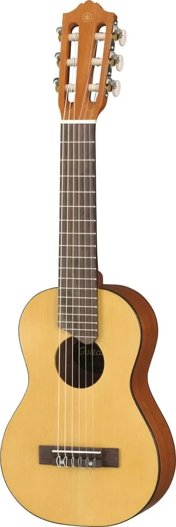 Pamja 1