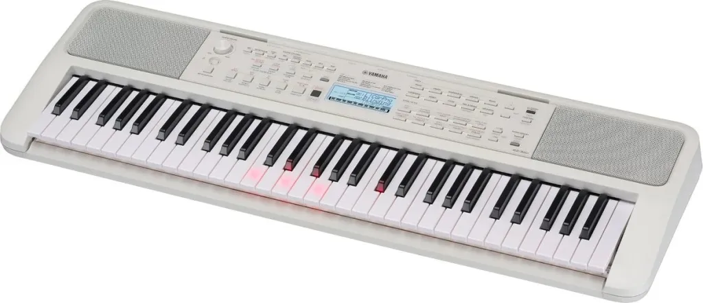 Pamja 3