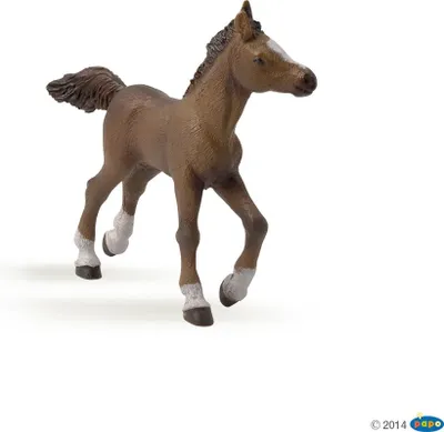 Lodër Russell Foal e racës anglo-arabe - Papo (51076) - 1