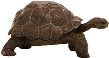 Figurë Russell - Breshka Galapagos