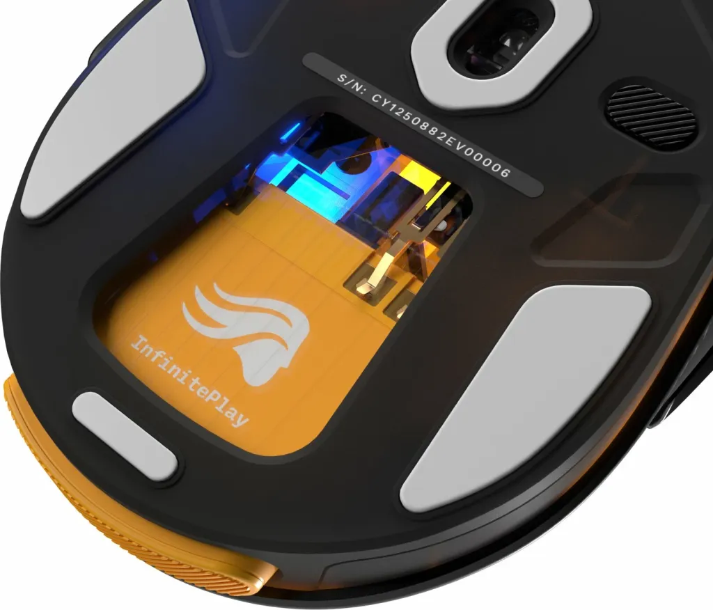 Pamja 10