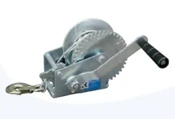 Çikrik Geko (G01083)