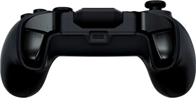 Pamja 4