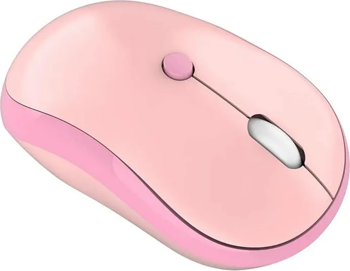 Pamja 2