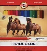 Lapsa ngjyrues Koh I Noor Triocolor, set 36 ngjyra, shumëngjyrëshe